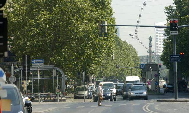 Die grüne Bezirksvorsteherin Uschi Lichtenegger will Tempo 30 auf der Praterstraße durchsetzen.