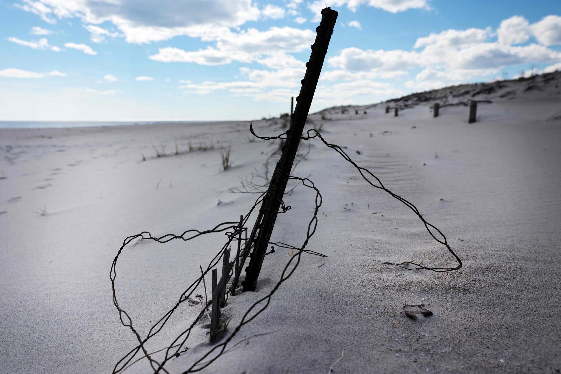 Ungeklärte Frauenmorde auf Long Island: Architekt gesteht acht Taten