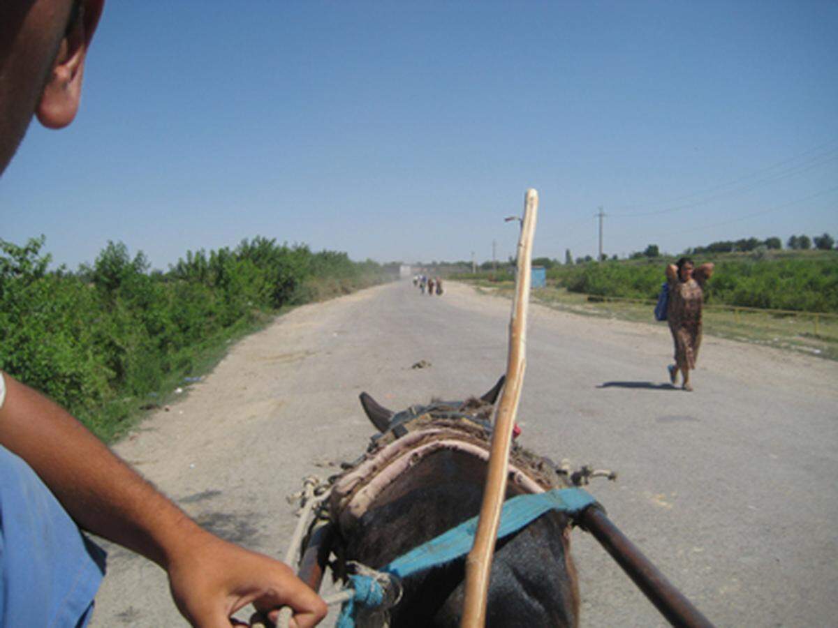 Die Grenzstation zwischen Usbekistan und Kasachstan ist mehrere Kilometer lang, der Bus muss aus Sicherheitsgründen alleine fahren, wer nicht spazieren will, nimmt das Eselsgefährt für ein paar Tenge 