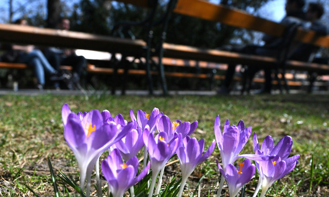 THEMENBILD: FR�HLING / WETTER