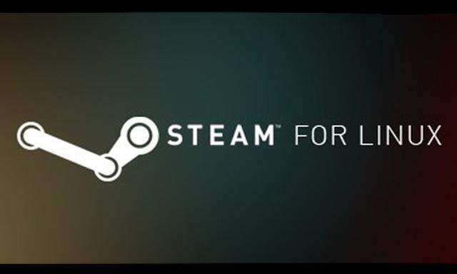Steam fuer Linux Spieledienst