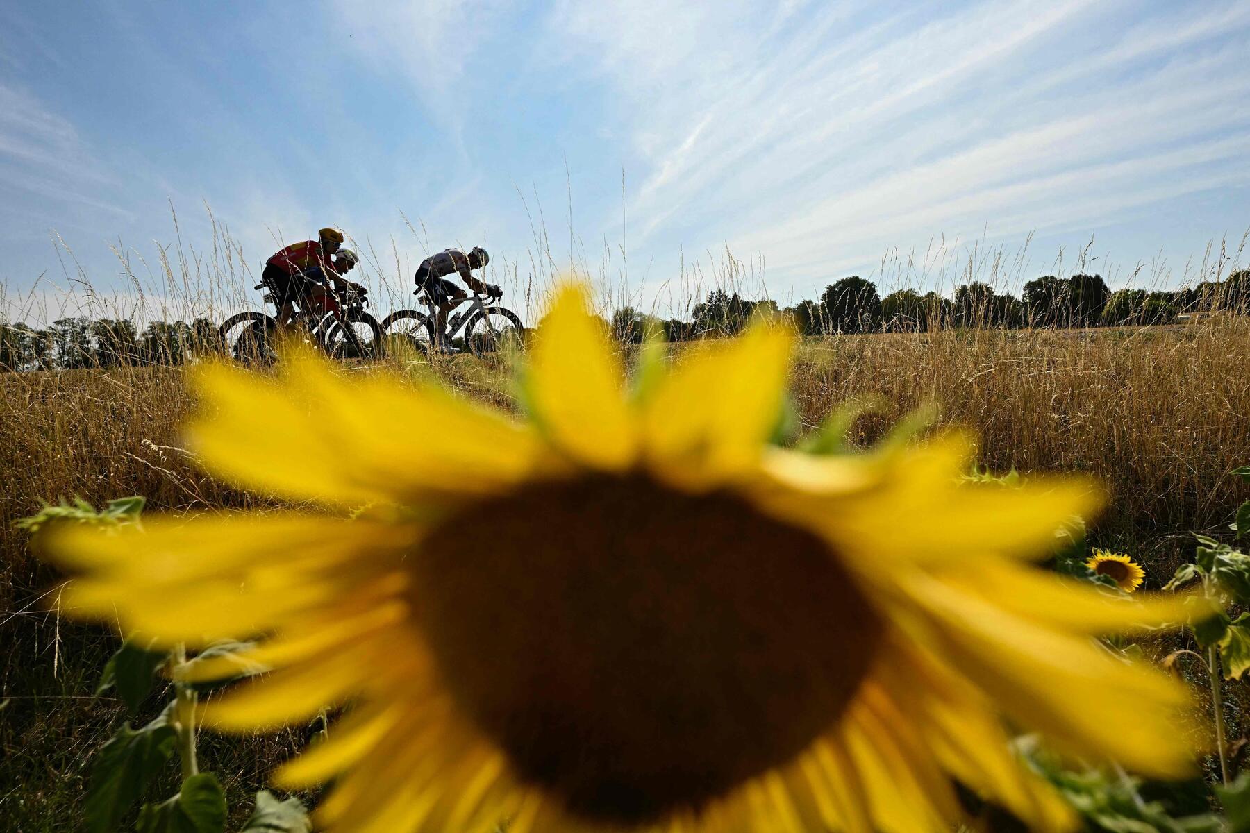 Tour de France: Norwegian Waerenskjold wins 11th stage in sprint finish; Pogacar leads overall