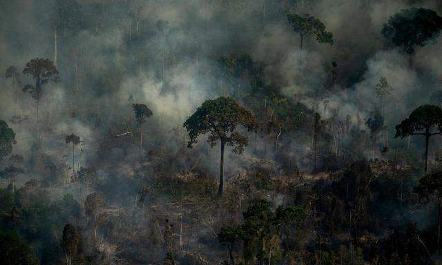 brennender Regenwald in Brasilien