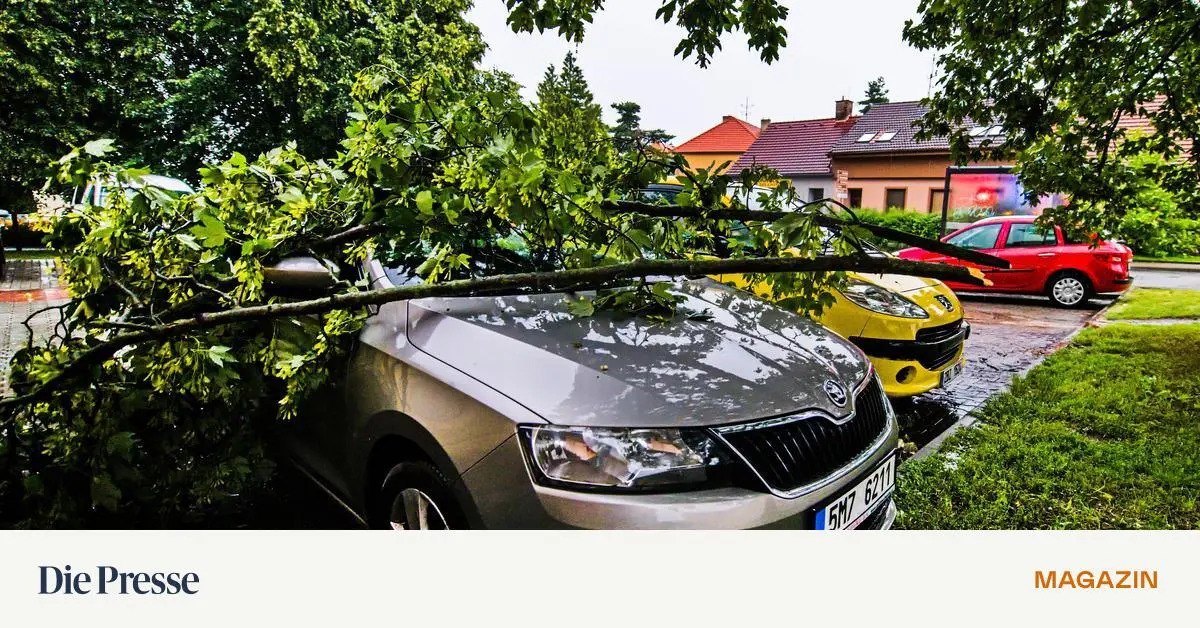 -Autofahrer-gegen-Autofahrer-so-muss-das-sein-Ochse-premium-
