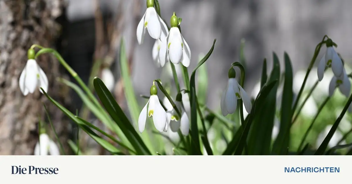 Wetter-in-sterreich-wird-unbest-ndiger-und-k-hler
