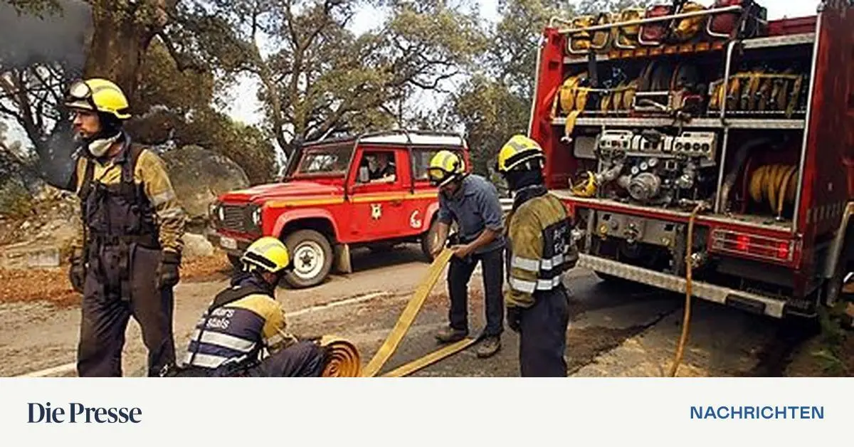 Spanien Feuer Nahe Tarifa Unter Kontrolle Die Ersten Reaktionen - rgevjcu
