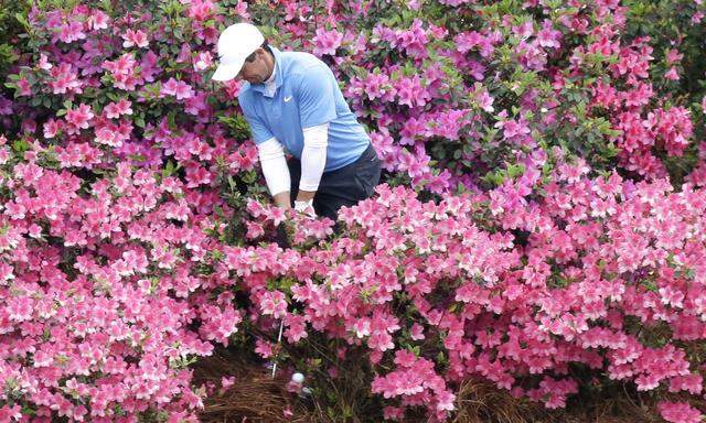 Traumhafte Azaleen empfingen den Nordiren Rory McIlroy am 13. Loch von Augusta, doch Golfstars haben zumeist nur etwas für das Putting-Green übrig.