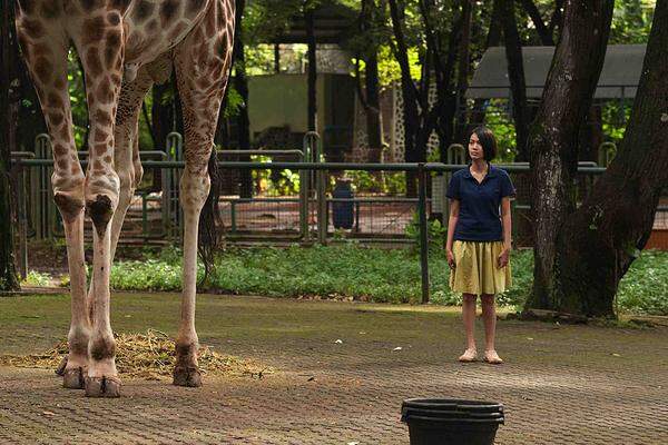 Indonesien /Deutschland / Hongkong, Regie: Edwin, Mit: Ladya Cheryl Als Dreijährige wird Lana alleine im Zoo zurückgelassen, wo der Giraffen-Trainer sie aufzieht. Der Zoo ist die einzige Welt, die sie kennt. Erst als sie sich verliebt, überlegt Lana, diese Welt zu verlassen.