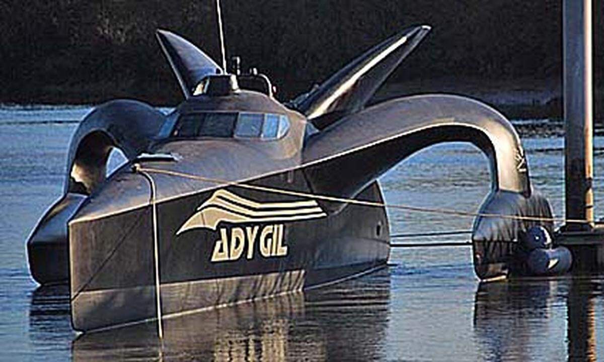 Die "Ady Gil" war der neue Stolz der Tierschützer: Das Boot, das unter dem Namen "Earthrace" den Rekord in der schnellsten Weltumfahrung aufgestellt hat, hat 500 PS und war mit dem Radar schwer zu orten.
