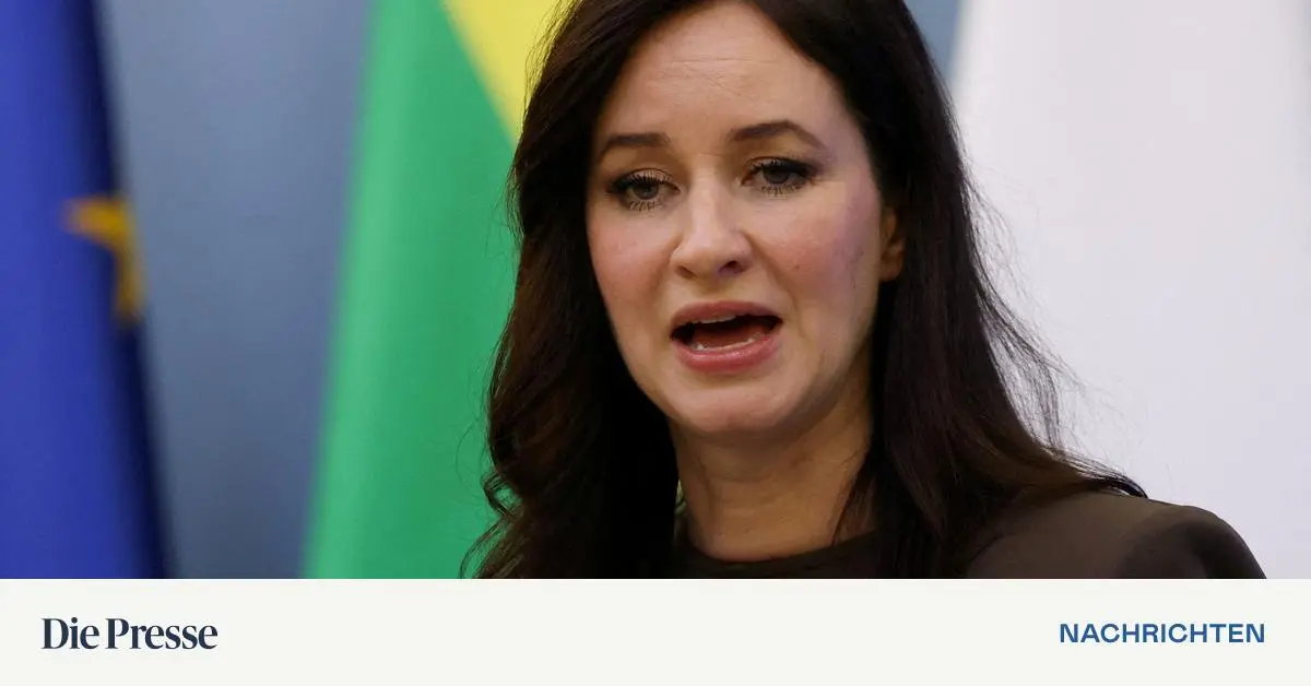 Litauen-erw-gt-nationalen-Notfall-wegen-Schmuggelballons