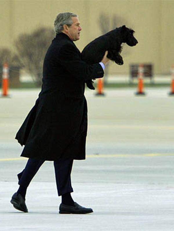 Hunde haben im Weißen Haus Tradition. Franklin Delano Roosevelt nahm seinen Terrier Fala sogar auf internationale Konferenzen mit.  George W. Bush hatte einen Schottischen Terrier namens Barney (im Bild) und einen Springerspaniel namens Spot. Spots Mutter war die Präsidentenhündin Millie, die während der Amtszeit von George Bush Senior im Weißen Haus wohnte.