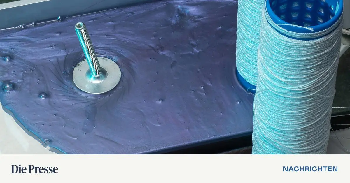 Die-B-rokratie-der-Standort-und-ihre-Gefangenen-premium-