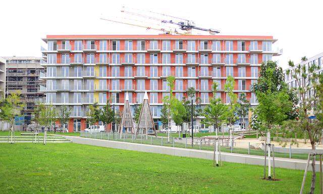 Baufortschritt Gemeindebau Neu Seestadt