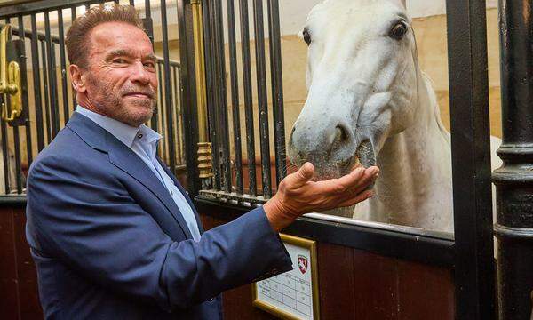  Schwarzenegger (hier bei einem Besuch der Hofreitschule 2021) engagiert sich für die geplante Eventhalle.