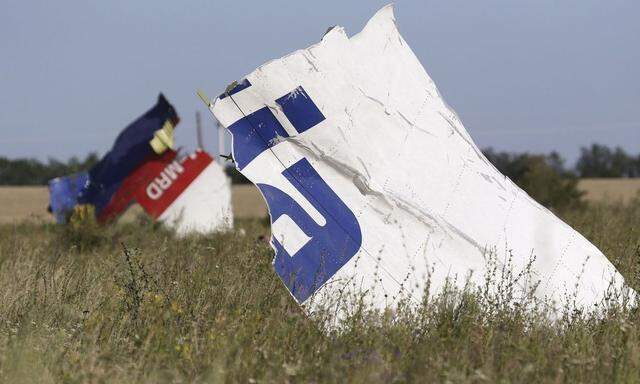 A woman takes a photograph of wreckage at the crash site of Malaysia Airlines Flight MH17 near the village of Hrabove (Grabovo)