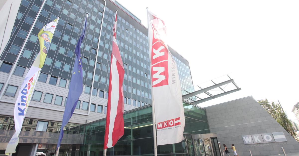 Wirtschaftskammer-Einnahmen-sprudeln-trotz-Wirtschaftsflaute-weiter-premium-