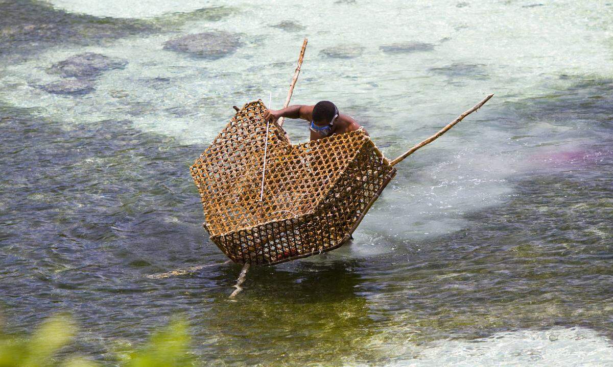 Mit hellblauen Augen lugt er unter einem Schlapphut hervor und bewegt beim Sprechen nur die Lippen. Keine Kopfbewegung, keine Gesten. Mit der Harpune hat er am Morgen einen mittelgroßen Hammerhai aus dem Wasser geholt. „Meine Arbeit ist gefährlich“, sagt Simon, „aber noch ist mir nichts passiert.“ Noch an Bord schlachtete und filetierte er das Tier. Nun liegen brotlaibgroße Stücke zu seinen Füßen, die er für 25 Rupien das Kilo verkauft. Das sind nicht einmal zwei Euro.