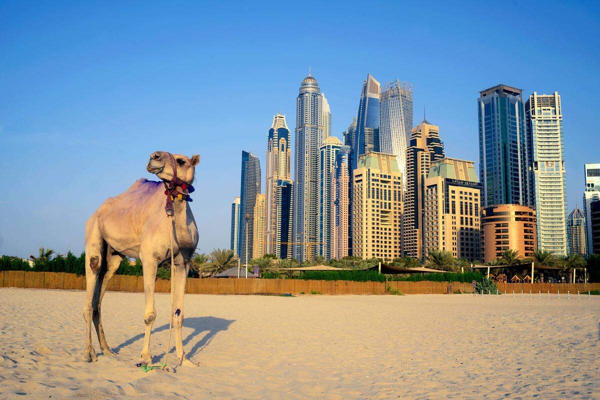 Geschichte und Moderne treffen in Dubai aufeinander. Vom Burj Khaifa kann man die Aussicht genießen, danach den Gold-, Textil- und Gewürz-Souk entlang des Dubai Creek erkunden.