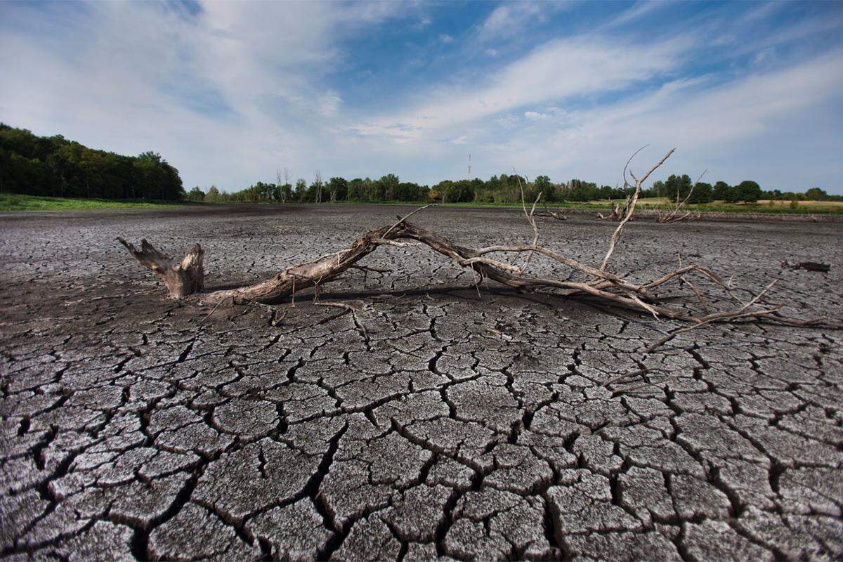 In vielen Orten hat es seit zwei Monaten nicht mehr richtig geregnet, wegen der Dürre hat die Regierung bereits 29 der 50 US-Staaten zu Notstandsgebieten erklärt worden.