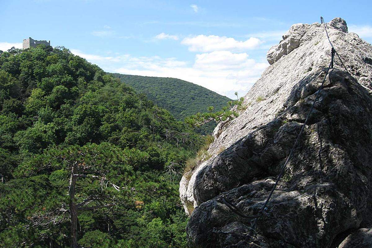 Nach etwa 30 bis 60 Minuten (je nach Übung des Kletterers und Betrieb auf dem Steig) erreicht man den Frauensteinberg (340 m) und kann hier den Ausblick auf die Ruine Mödling und das Mödlingbachtal genießen.