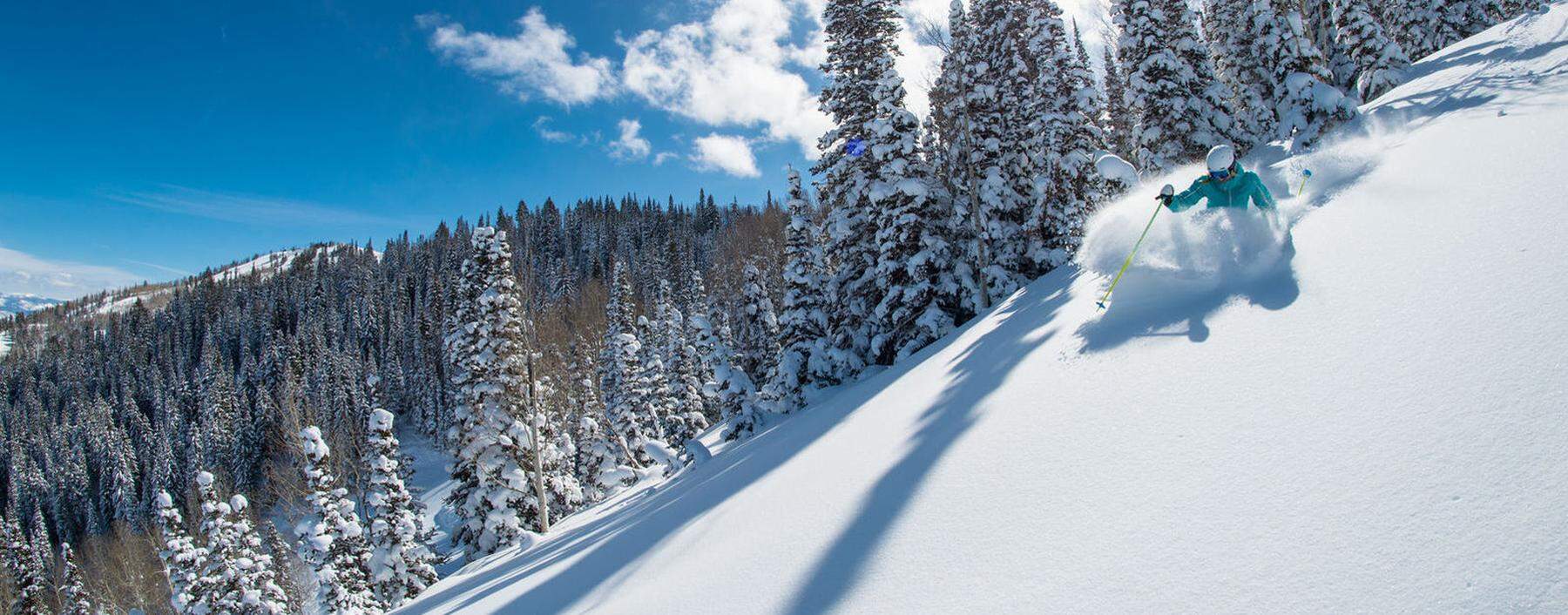 Skifahren in Utah: Auch da geht's zum Powdern in die Backbowls.