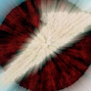 logo of UniCredit unit Bank Austria 