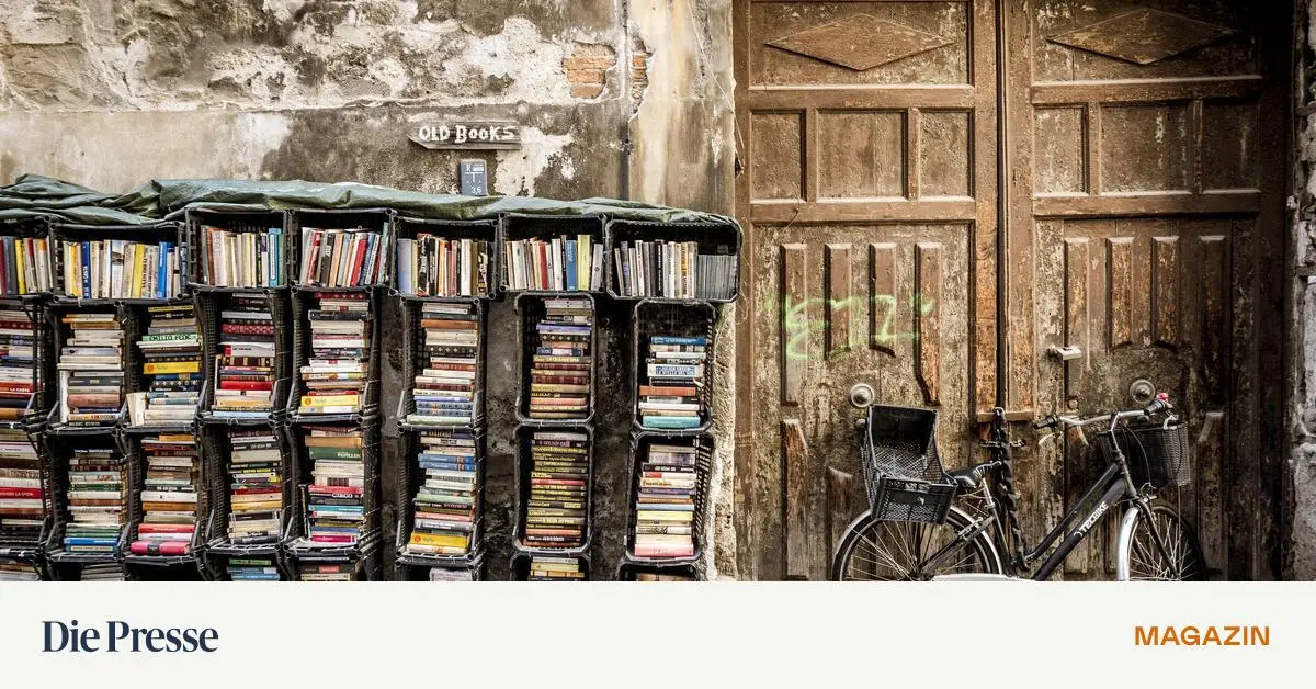 nach-dem-freispruch-von-antiquar-rainer-schaden-bleibt-die-frage-was-tun-mit-ns-b-chern-premium