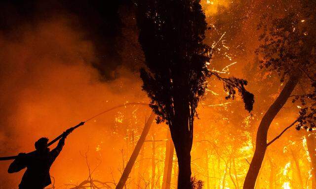 Kampf mit den Flammen: Ein Feuerwehrmann im Einsatz nahe Athen.