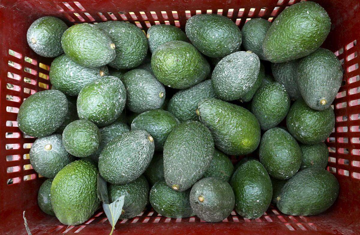 Ein überraschender Figurfreund. Die ungesättigten Fettsäuren in der grünen Frucht sollen dem Stoffwechsel beim Fettabbau helfen. Einige Forscher halten es für wahrscheinlich, dass das Lipase-Enzym den Fettabbau sogar beschleunigt.