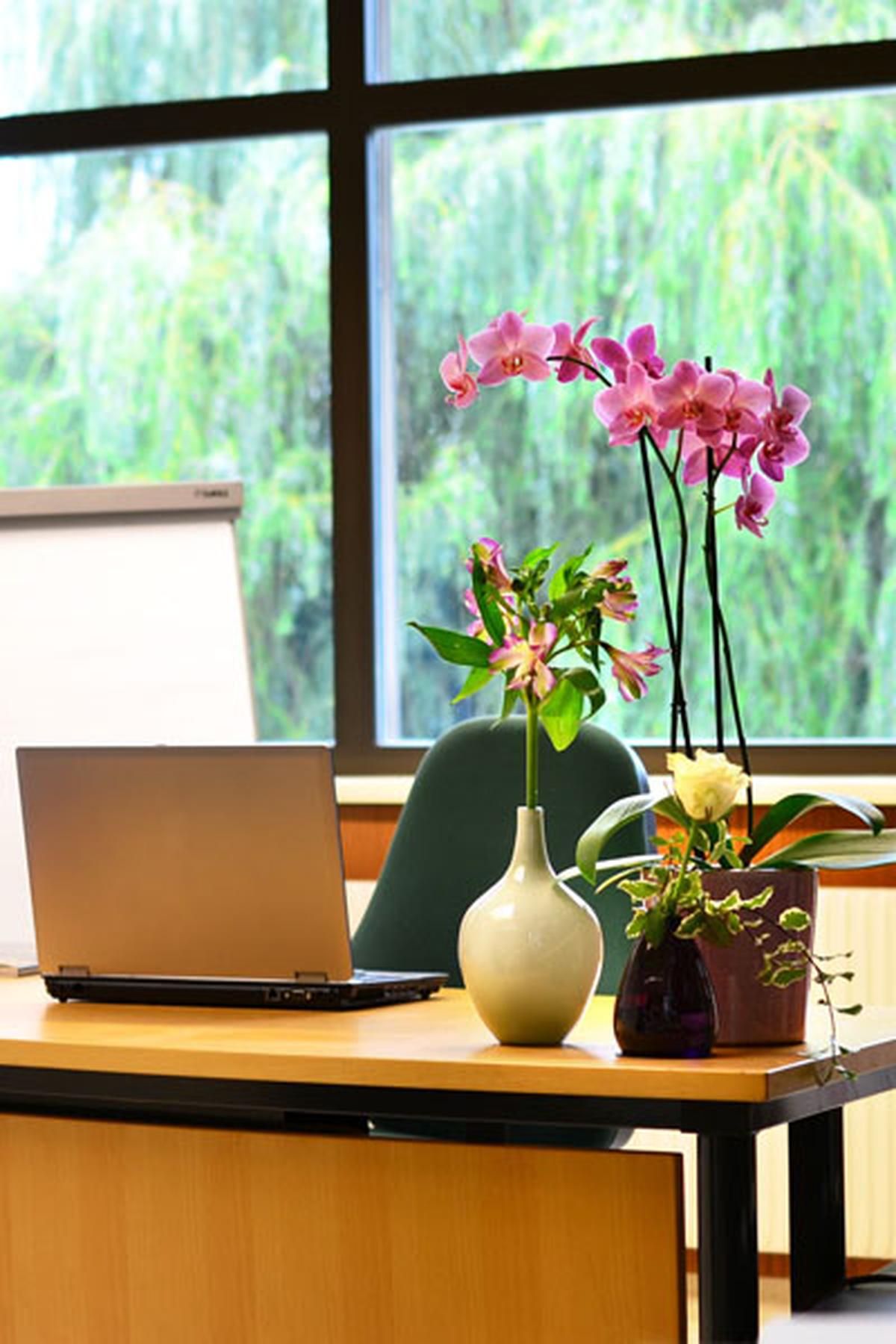 Was Blumen im Büro bewirken