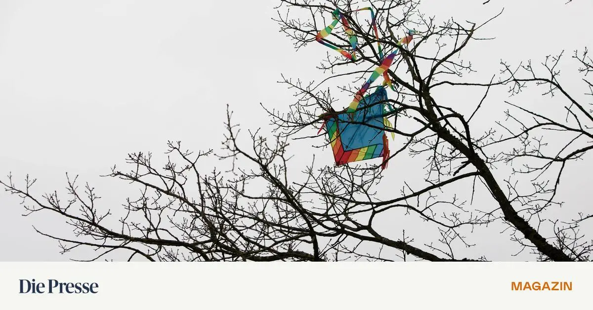 Der-Windkraft-geht-die-Puste-aus-premium-