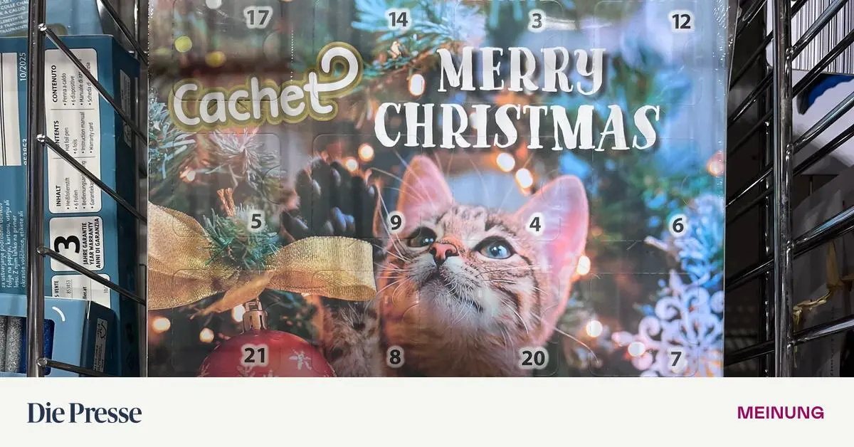 Die-L-sung-Der-Katzenadventkalender-