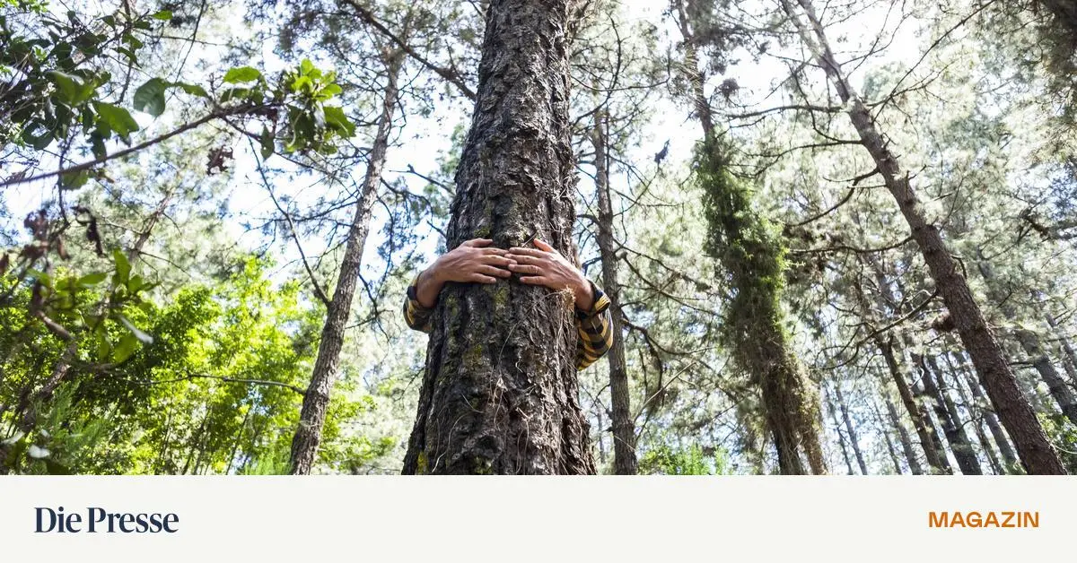 Das-Spectrum-R-tsel-K-mmert-euch-umeinander-premium-