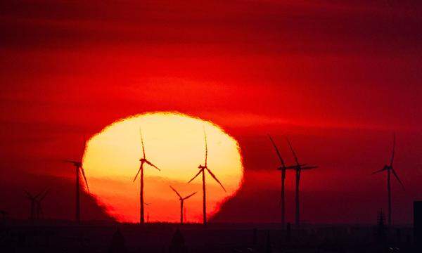 Windräder und Solarenergie starten durch - und finden auf der Klimakonferenz in Dubai viele Unterstützer.
