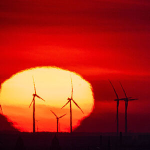 Der Nachhaltigkeitstrend scheint seinen Zenit erreicht zu haben. 