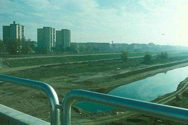 Als "Initialzündung" wurden Binsen, Seggen, Wasserpfefferminze, Rohrkolben und Schwanenblume gesetzt.  Bild aus dem Jahr 1980