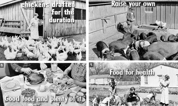 1942 wurde von der Farm Security Administration (FSA) der Standbildfilm „Victory in an eggshell“ produziert, mit schlichten Botschaften, von denen viele heute zeitgemäß wirken: „Grow your own“, „Can your own“, „Cure your own“. Die FSA war gegründet worden, um Kleinbauern zu helfen.