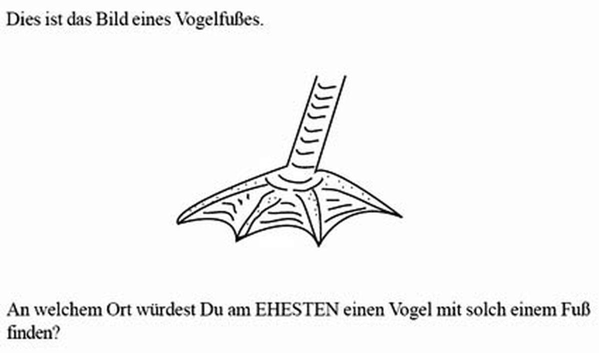 2. An welchem Ort würdest Du am EHESTEN einen Vogel mit solch einem Fuß finden? A. In einem Wald. B. Auf einer Wiese. C. In einem Kornfeld. D. In einer Wüste. E. An einem See.