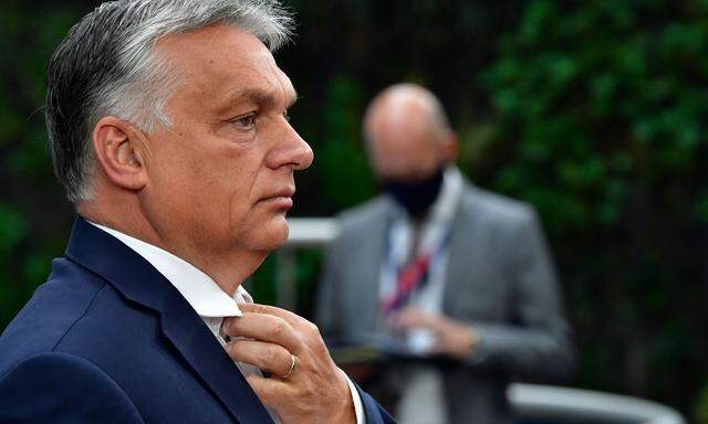 Premierminister Orbán inszeniert sich als Beschützer ungarischer Minderheiten in Rumänien und der Slowakei.