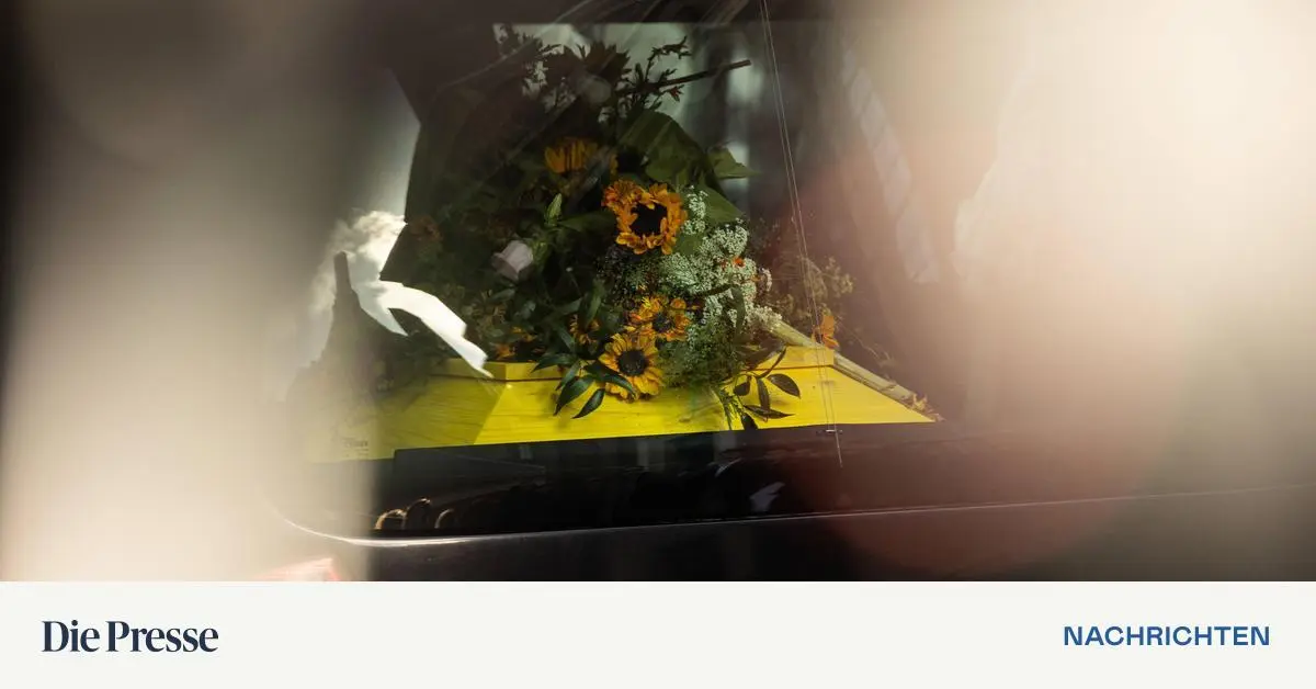 totgeglaubte-in-thailand-lebend-im-sarg-entdeckt