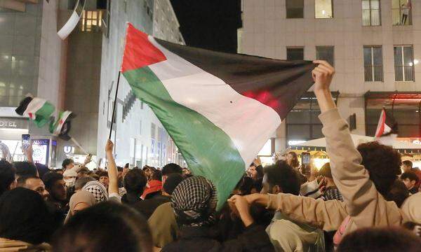 Pro-Palästina-Kundgebung auf dem Wiener Stephansplatz.  