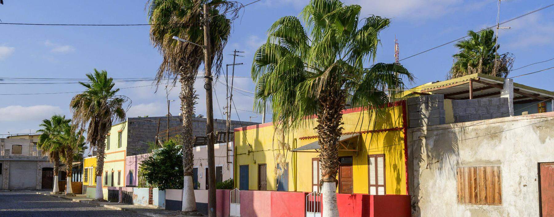 Bunte H�user und Palmen an einer Stra�e, Palmeira, Insel Sal, Kapverden *** Colorful houses and palm trees on a street,