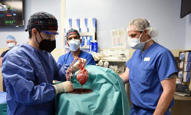 Mediziner der Universität Maryland haben nach eigenen Angaben eine" bahnbrechende Operation" durchgeführt.