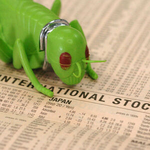 "Nicht jeder der Aktien hat, ist ein Spekulant."