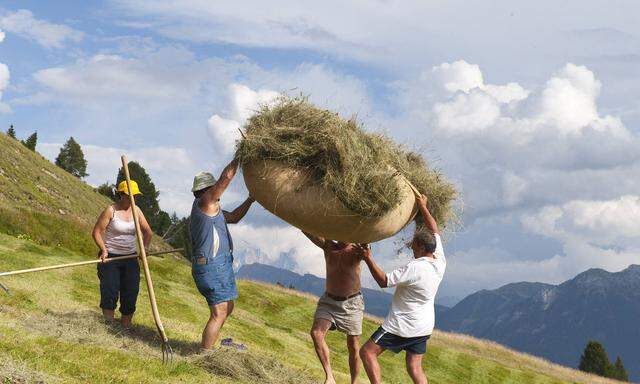 Archivbild: Heuarbeit in den Südtiroler Dolomiten
