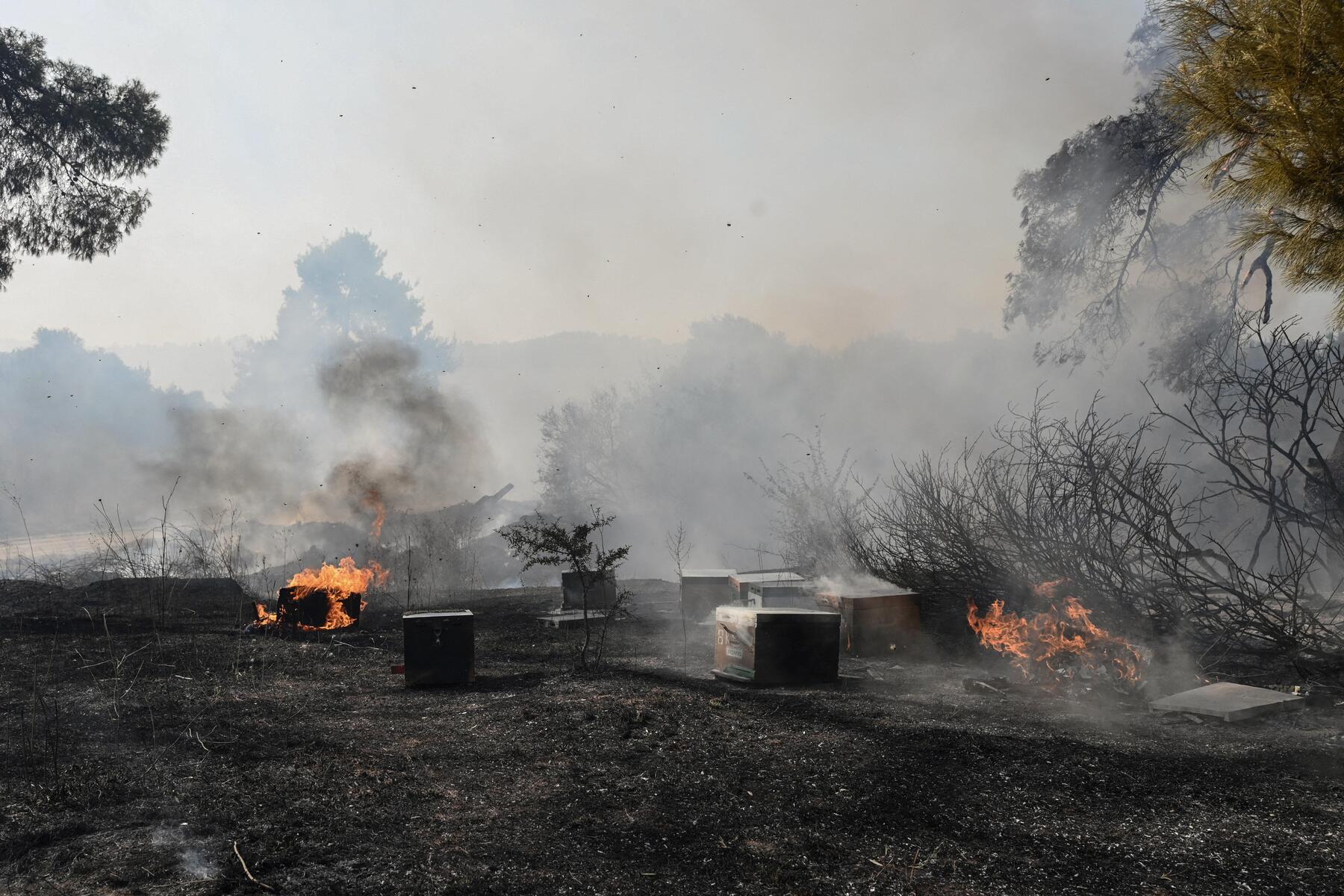 Halkidiki wildfire under control, smaller blazes persist