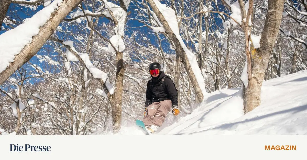 Der-Schnee-der-anderen-zwischen-Japans-B-umen-und-Norwegens-Fjorden-premium-