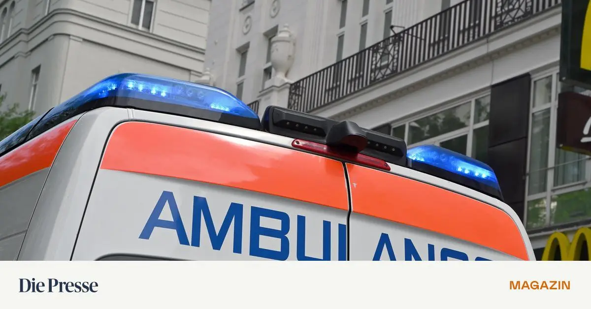 Weil-der-Busfahrer-den-Fahrgast-erst-nach-dem-Aussteigen-verpr-gelte-Busbetreiber-haftet-nicht-premium-