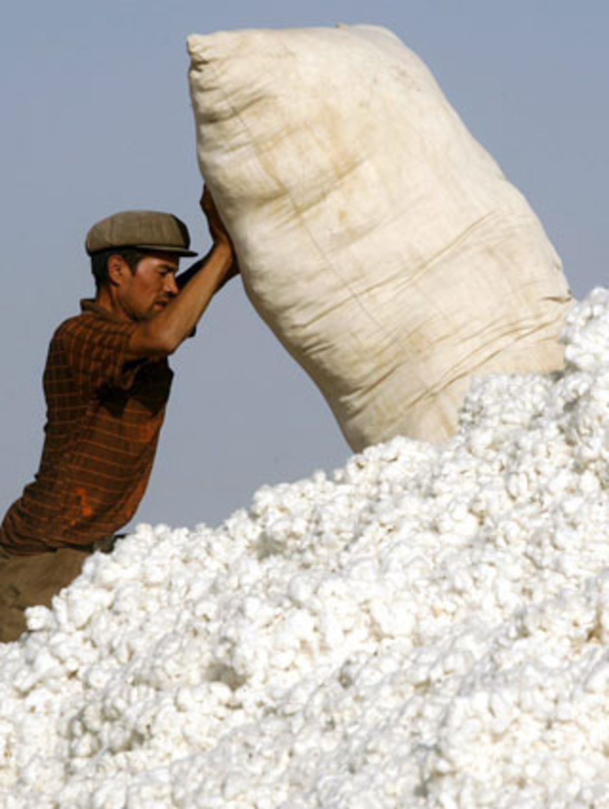 Nr. 1 China: 7900 Tonnen Nr. 2 Indien: 5400 Tonnen Nr. 3 USA: 3000 Tonnen Nr. 4 Pakistan: 2000 Tonnen Nr. 5 Brasilien: 1400 Tonnen