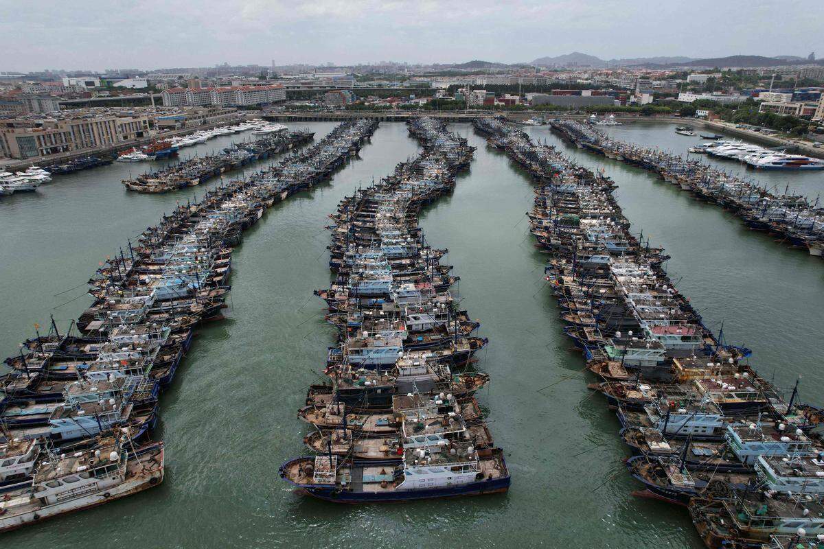 26. Juli. Fischerboote sammeln sich in der chinesischen Provinz Fujian. Ein Taifun ist angekündigt.